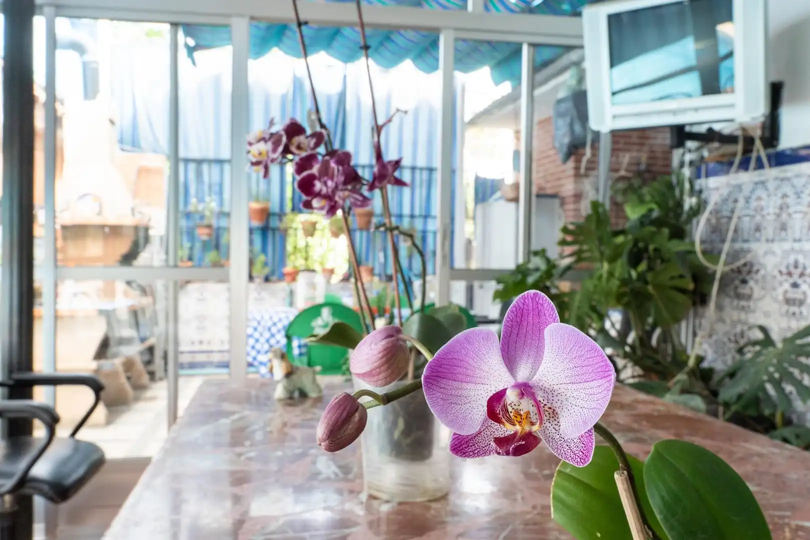 Terraza de Casa o chalet en venta en Jaén