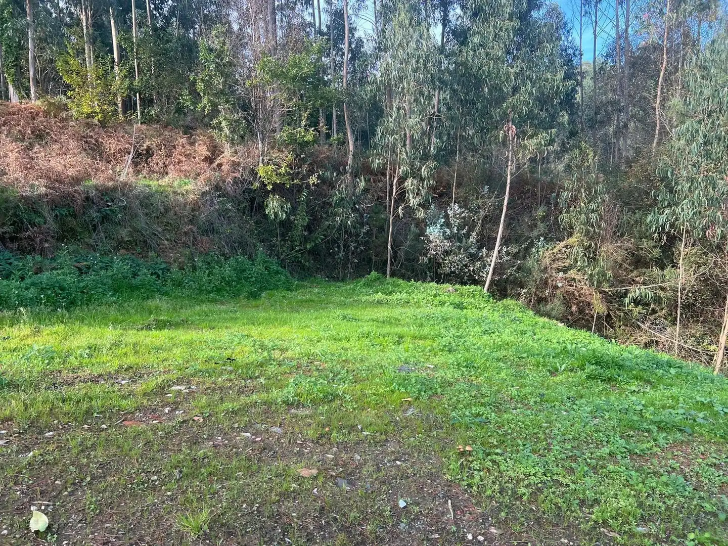 Casa rústica en venta en Lugar Silvalonga, imagen 5