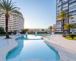 Swimming pool of Flat to rent in Benidorm  with Air Conditioner, Heating and Furnished