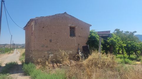 Maset amb llum i aigua a L’illa d’Ascó, immagine 2
