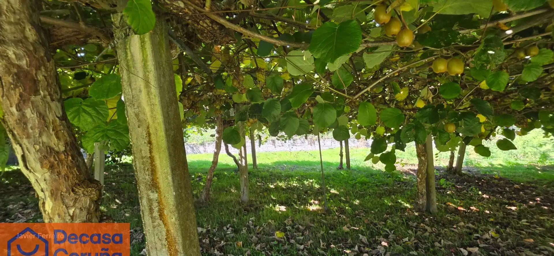 Garden of Houses for sale in Coirós  with Private garden, Storage room and Balcony