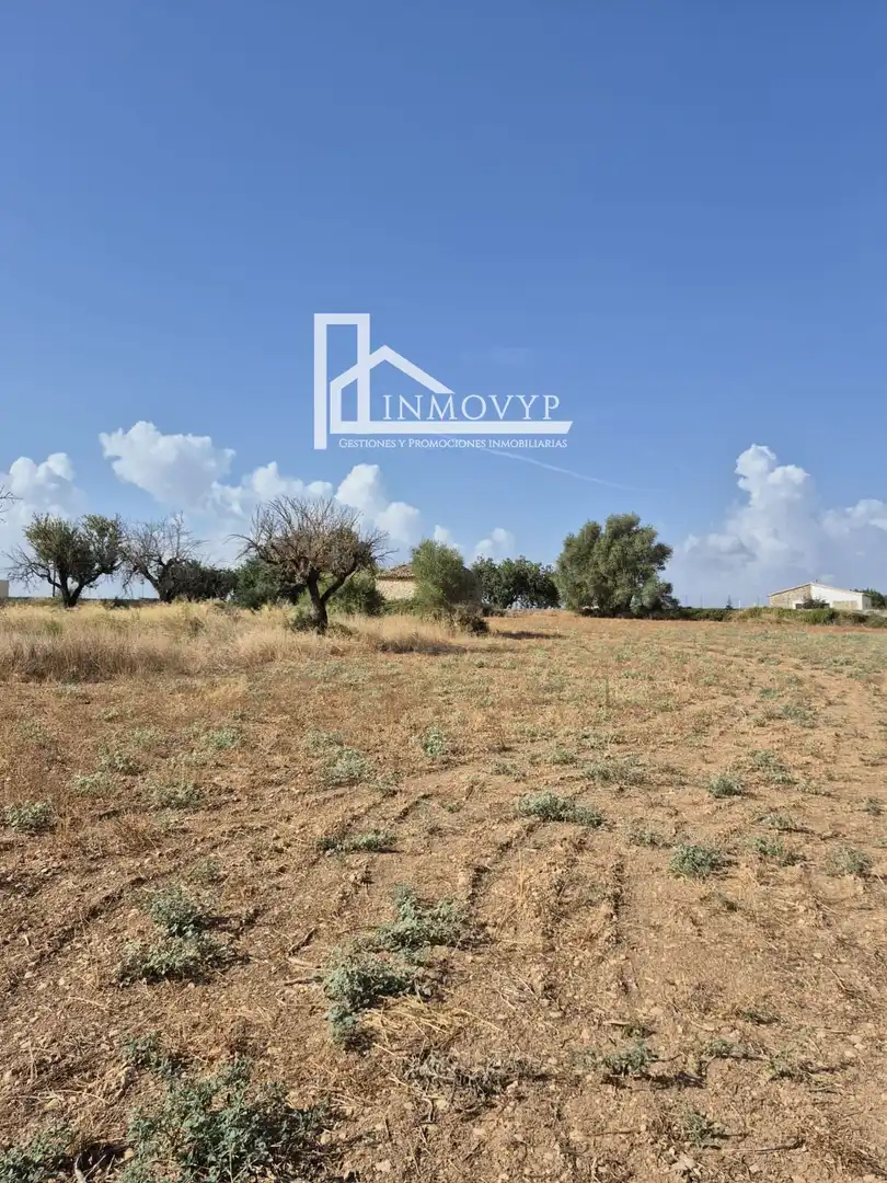 Finca rústica en venda en Lloseta