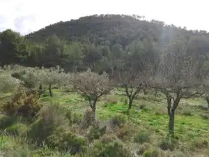 Terreno rustico in vendita a Carrer la Torreta, imagen 7