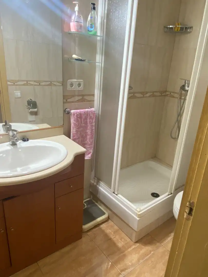 Baño de Piso en venta en Santa Coloma de Gramenet con Terraza, Trastero y Amueblado