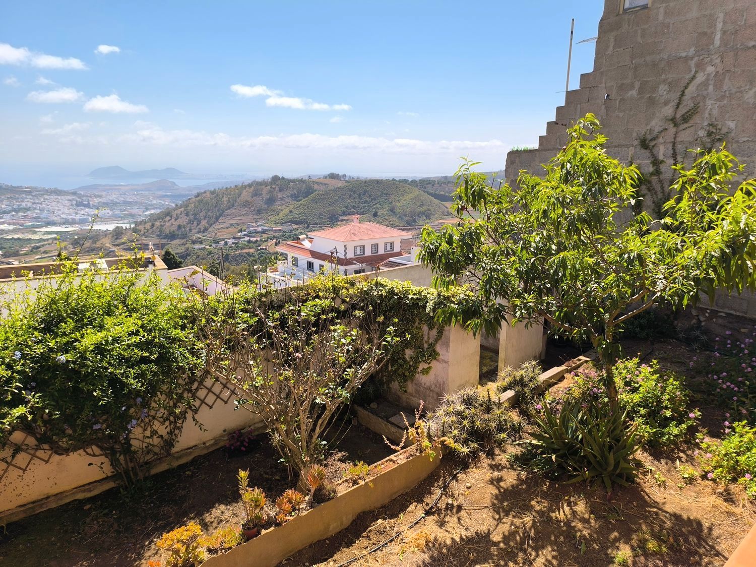 Exterior view of Flat for sale in Firgas  with Private garden