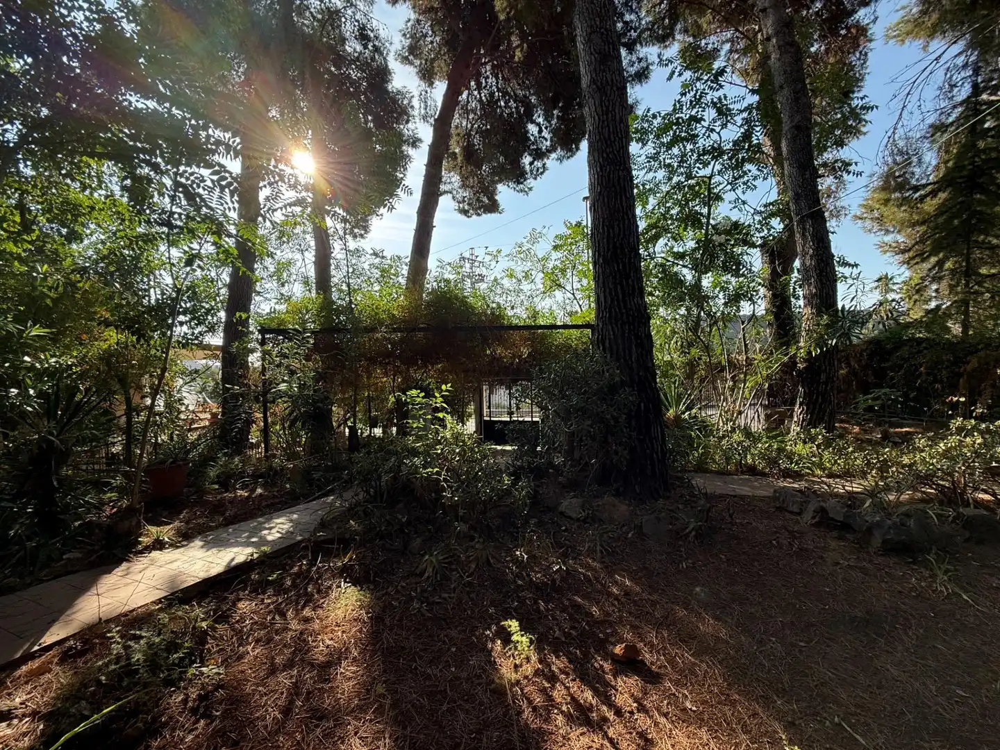 Villa avec jardin à vendre à Calle ALTO DE LA VILLA, imagen 5