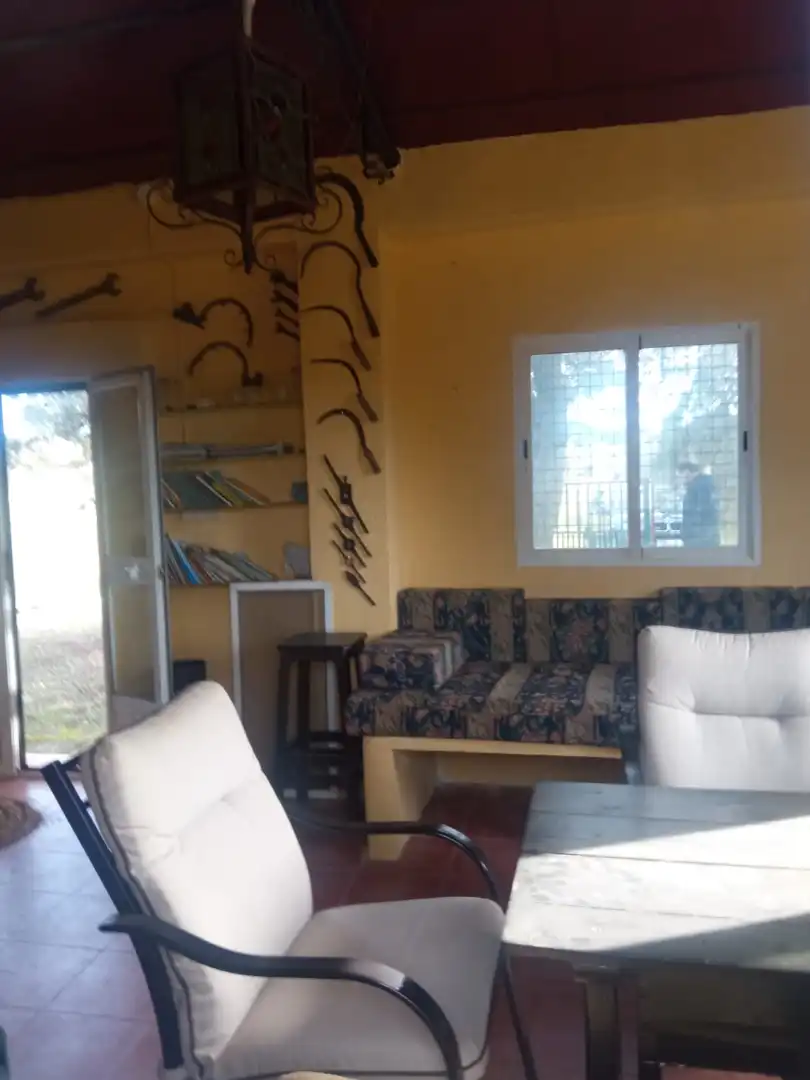 Living room of Land for sale in Cardeña