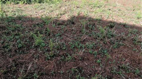 Photo 5 of Residential for sale in Rúa Castañeira, Dexo  -Lorbé, A Coruña