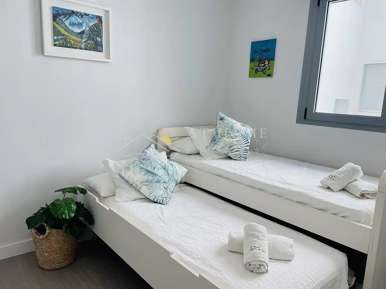 Apartments for rent in El Morche