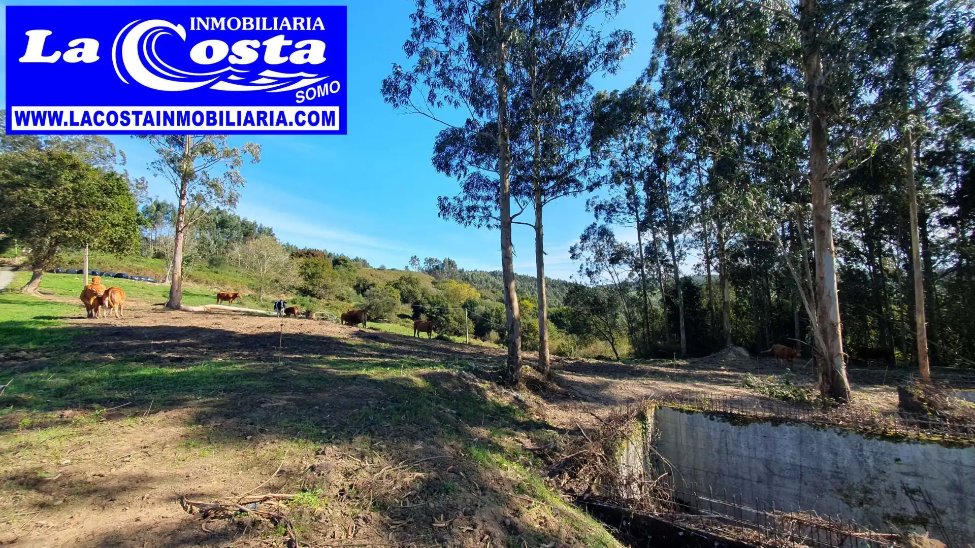Residential for sale in Ribamontán al Mar