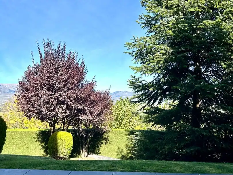 Adosado con jardín en venta en Carrer del cadí 15, imagen 15