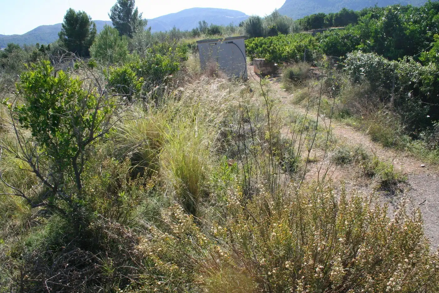 Residential land for sale in Orba, imagen 9