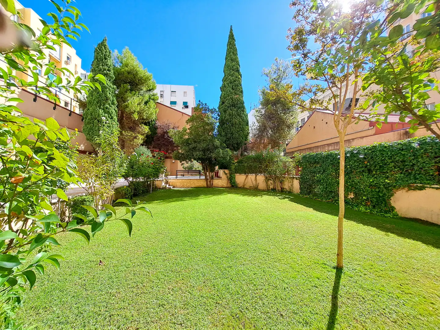 Jardí de Estudi en venda en Madrid amb Aire condicionat, Calefacció i Parquet