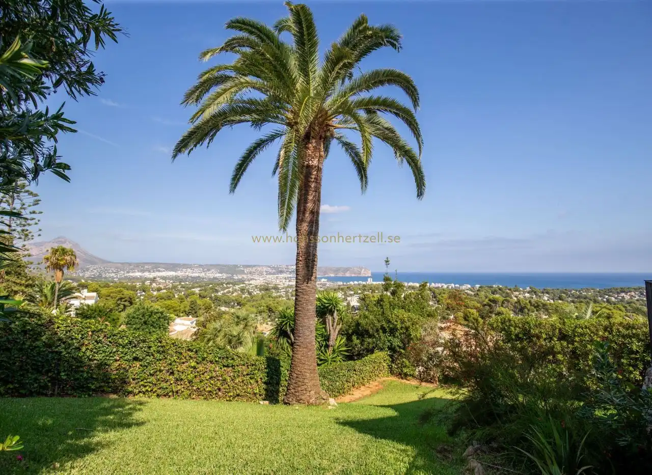 Garden of Houses for sale in Jávea / Xàbia
