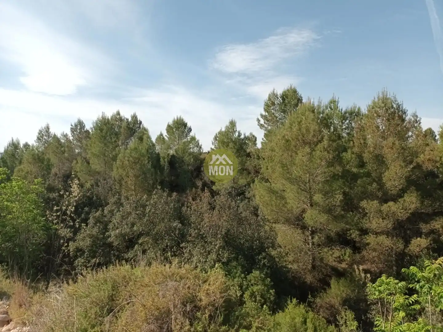 Residential land for sale in Centro, imagen 6