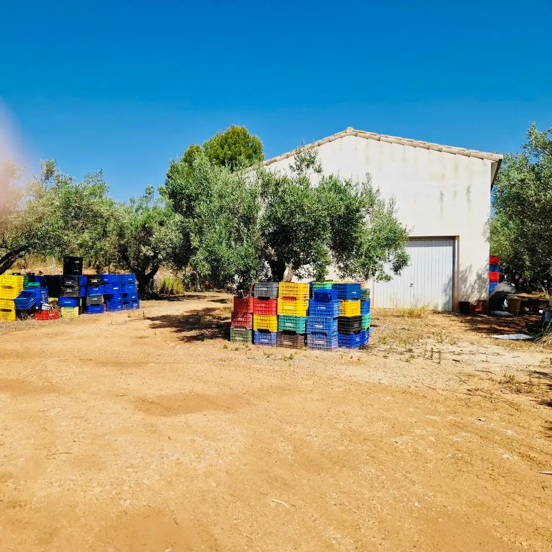 Villa avec jardin à vendre à Parcent, imagen 2