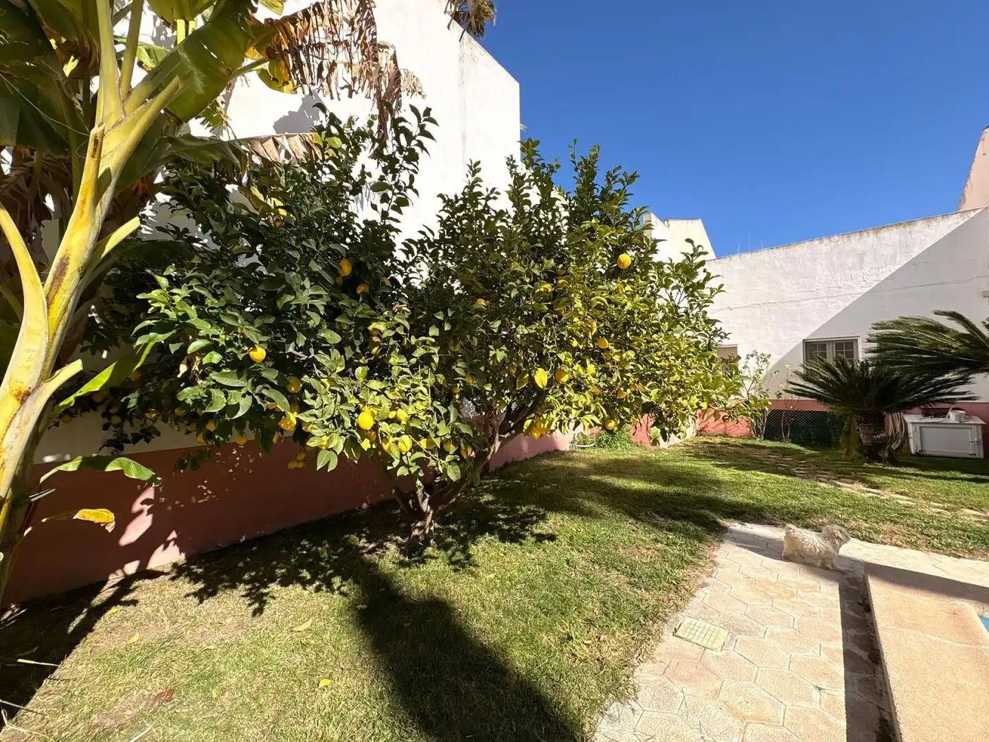 Detached house for sale in Sax, imagen 40