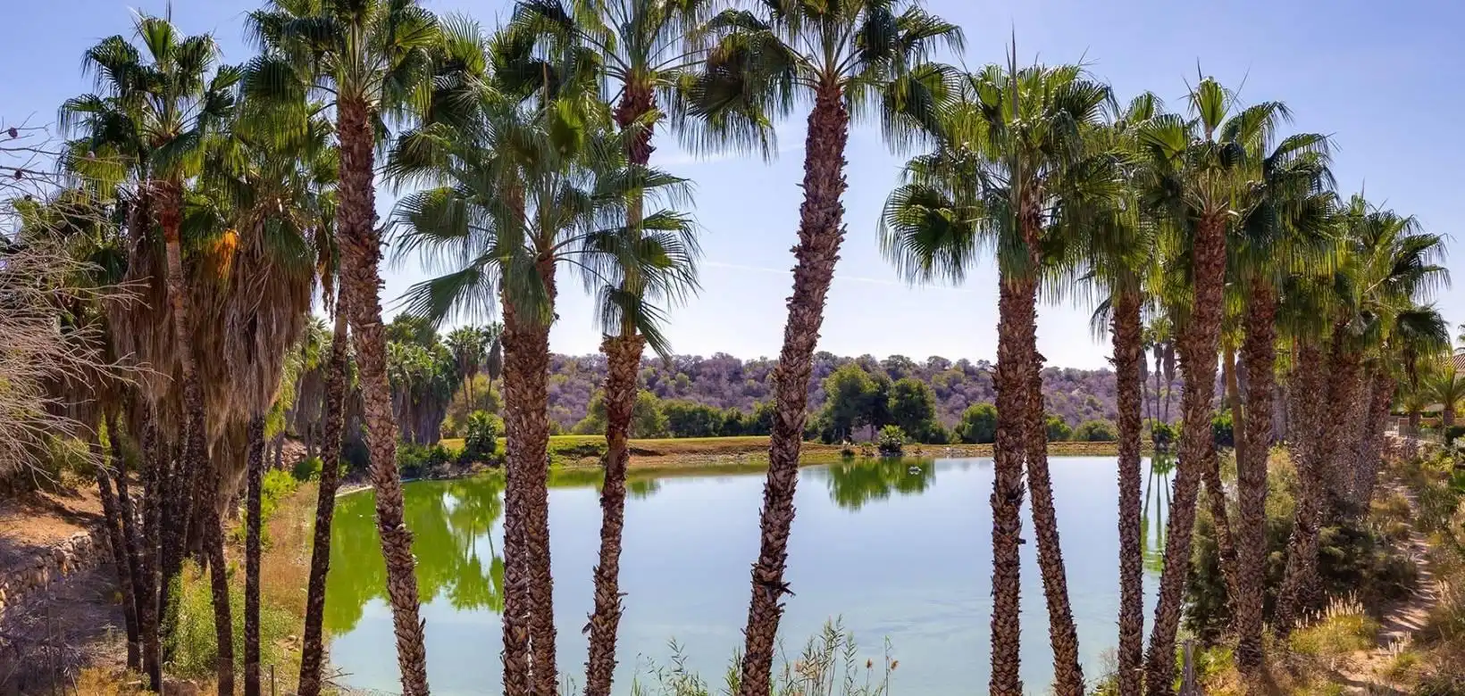 Vista exterior de Casa o xalet en venda en Orihuela amb Aire condicionat, Calefacció i Jardí privat