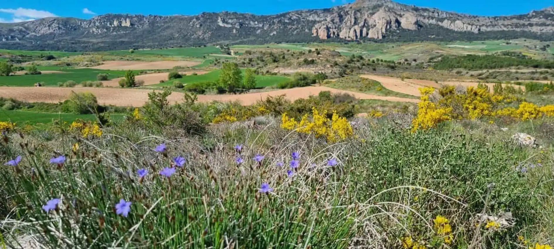Casa o chalet en venta en Quintanaélez con Calefacción, Jardín privado y Terraza