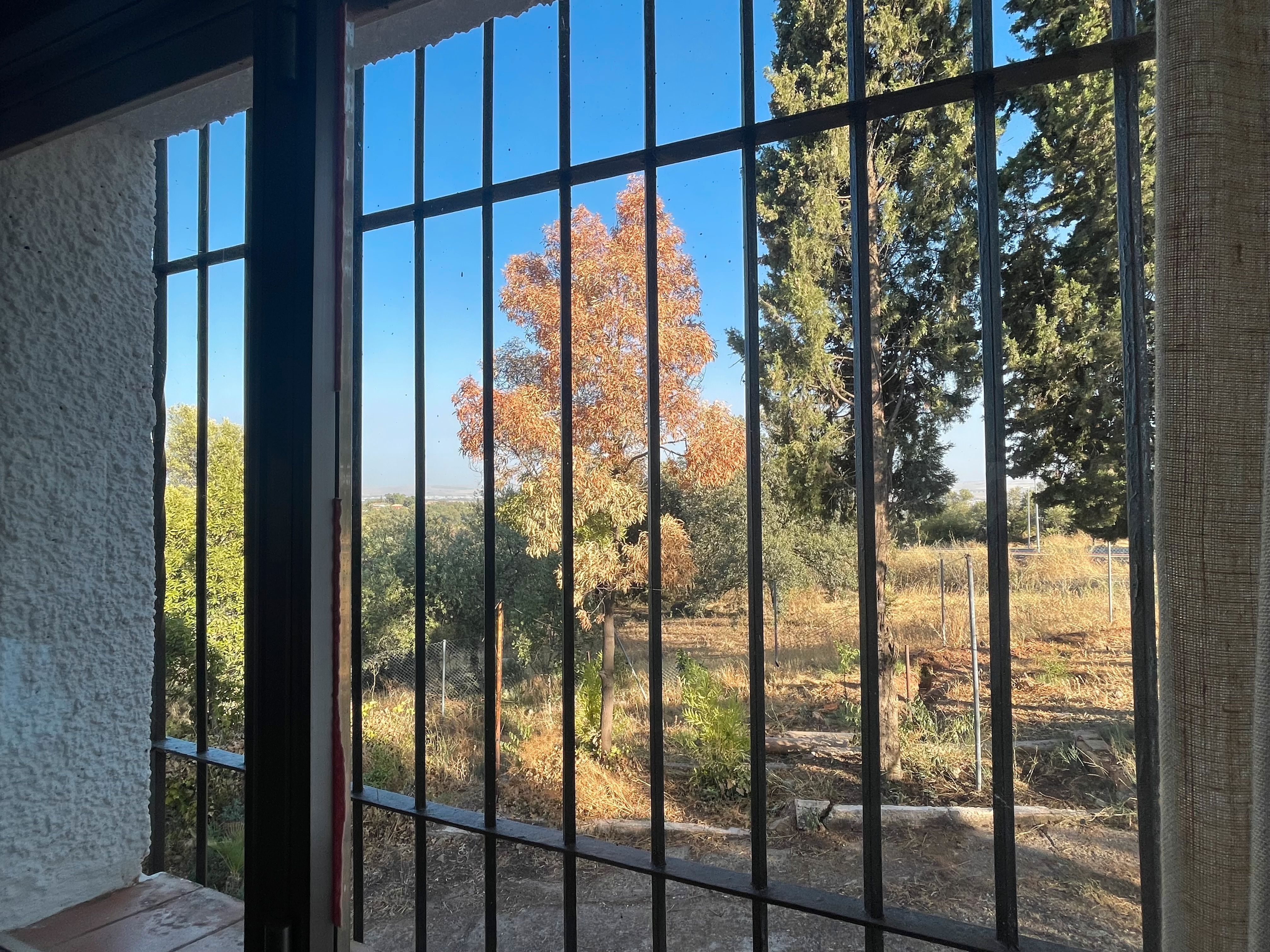 House or chalet for sale in El Brillante -El Naranjo - El Tablero