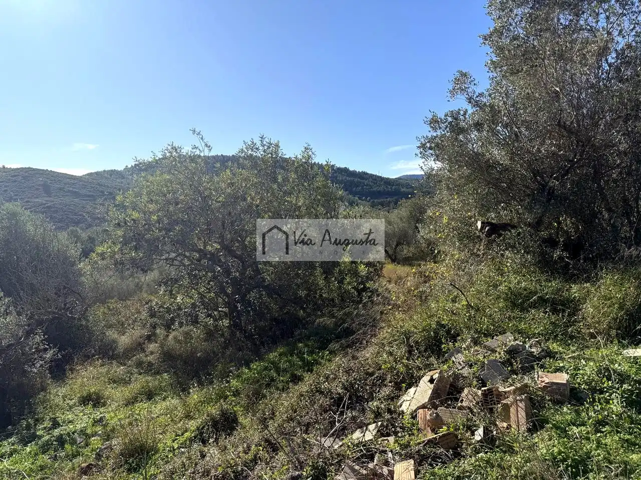 Terreno rustico in vendita a Bassa d'en Baró, imagen 37