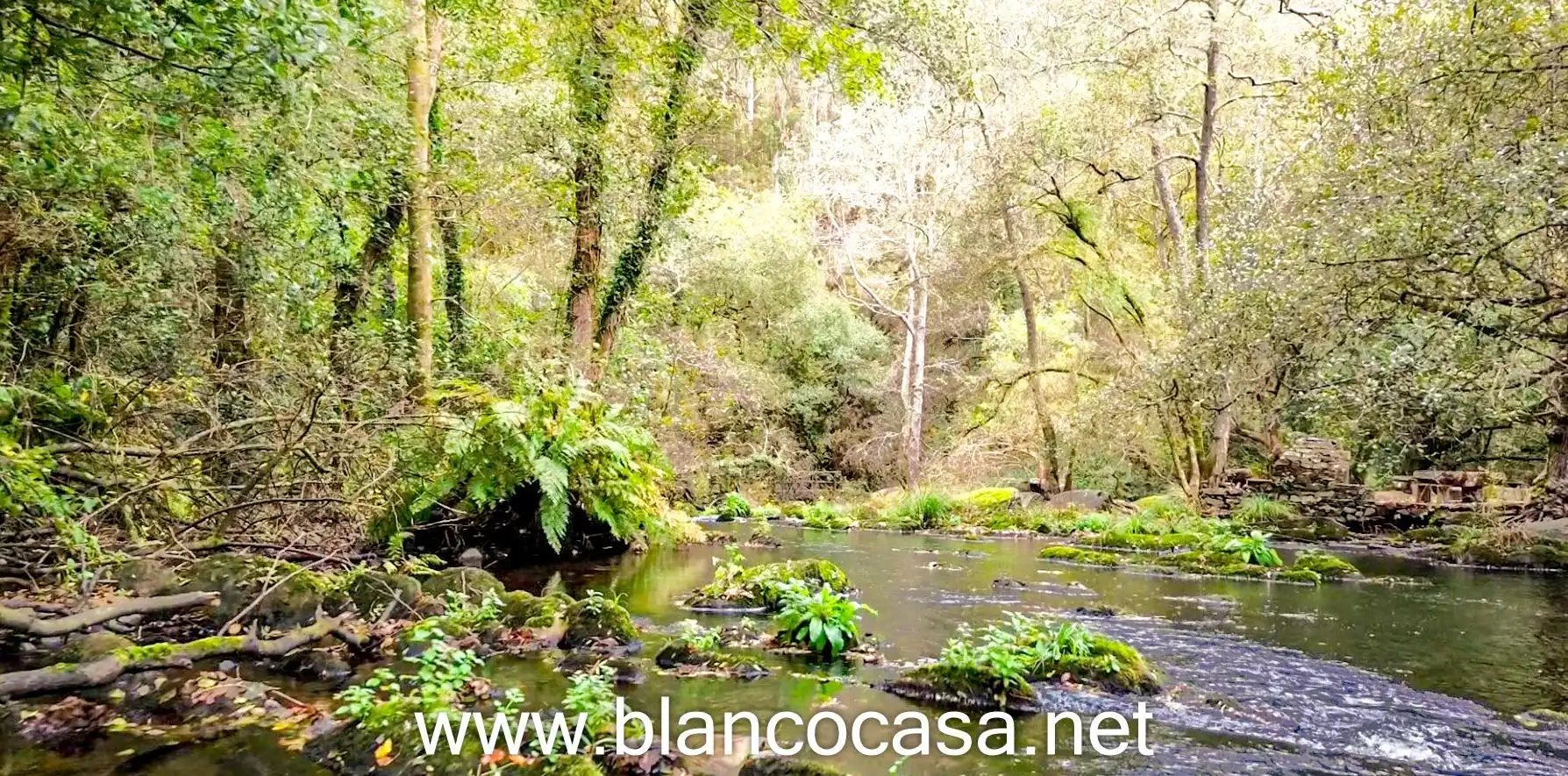 Vista exterior de Finca rústica en venta en Coristanco con Jardín privado
