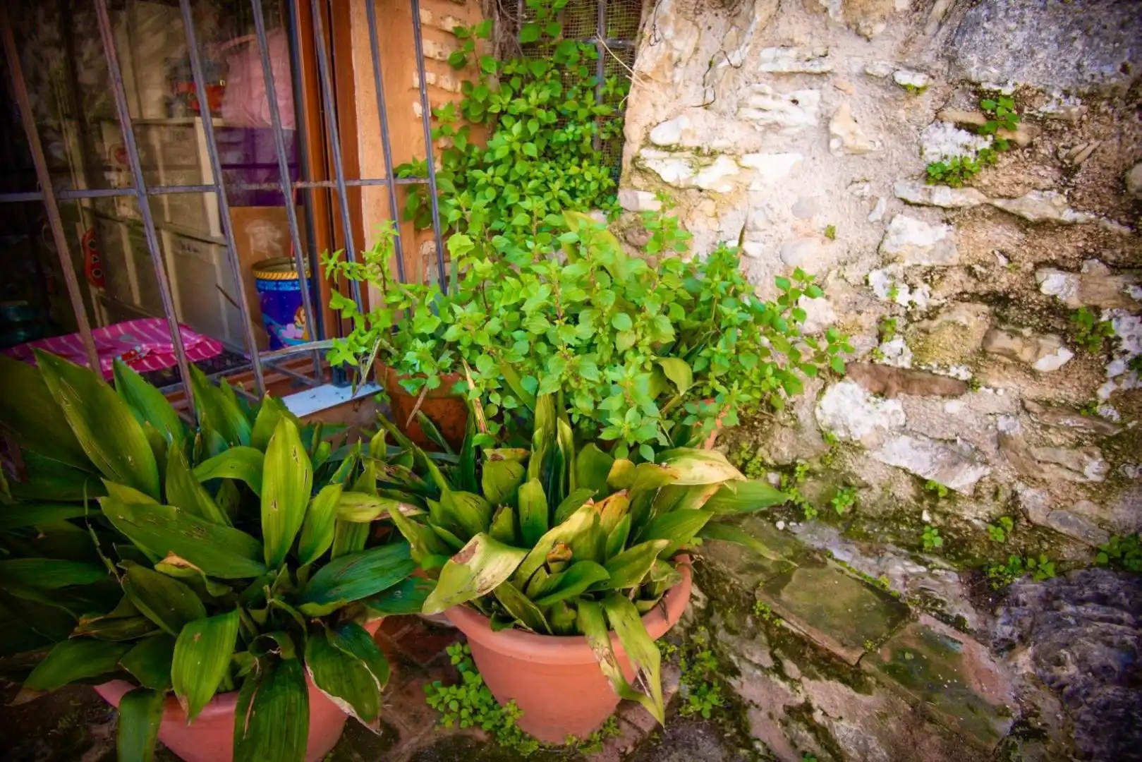 Balcony of Detached homes for sale in Bocairent  with Terrace