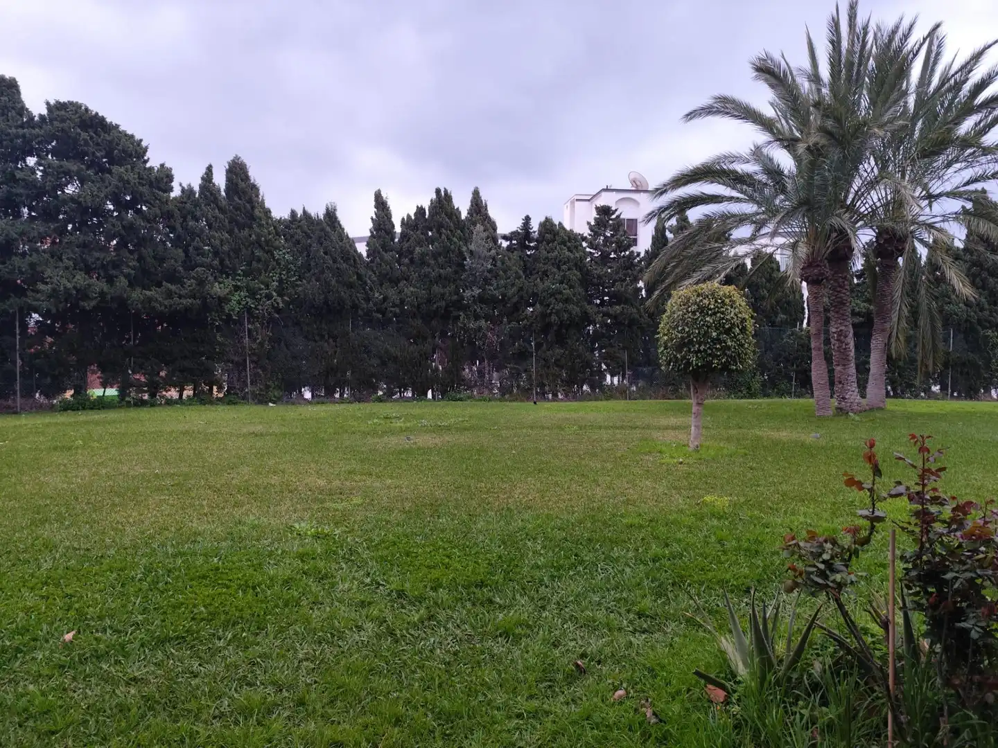 Ground floor for sale in Torremolinos  with Private garden, Terrace and Community pool