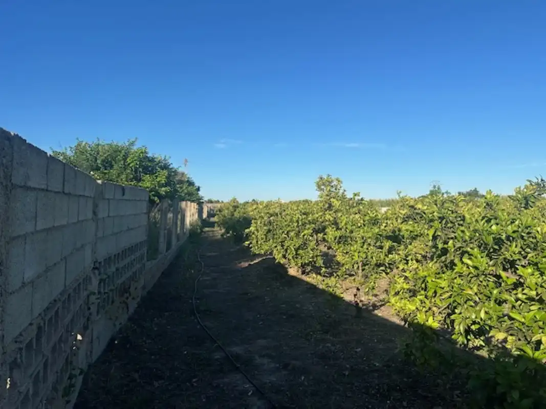 Terreno en venta en Xeresa