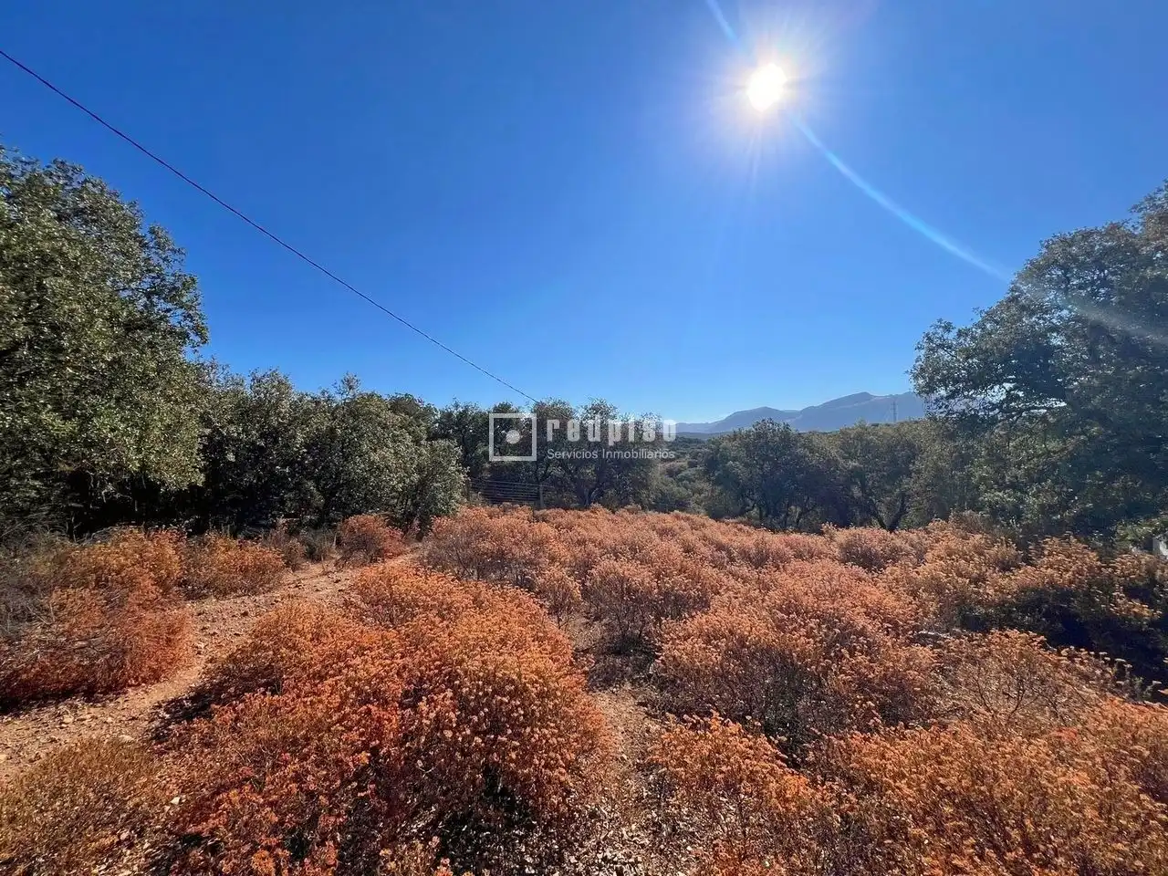 Casa o chalet en venta en Archidona con Calefacción, Jardín privado y Terraza