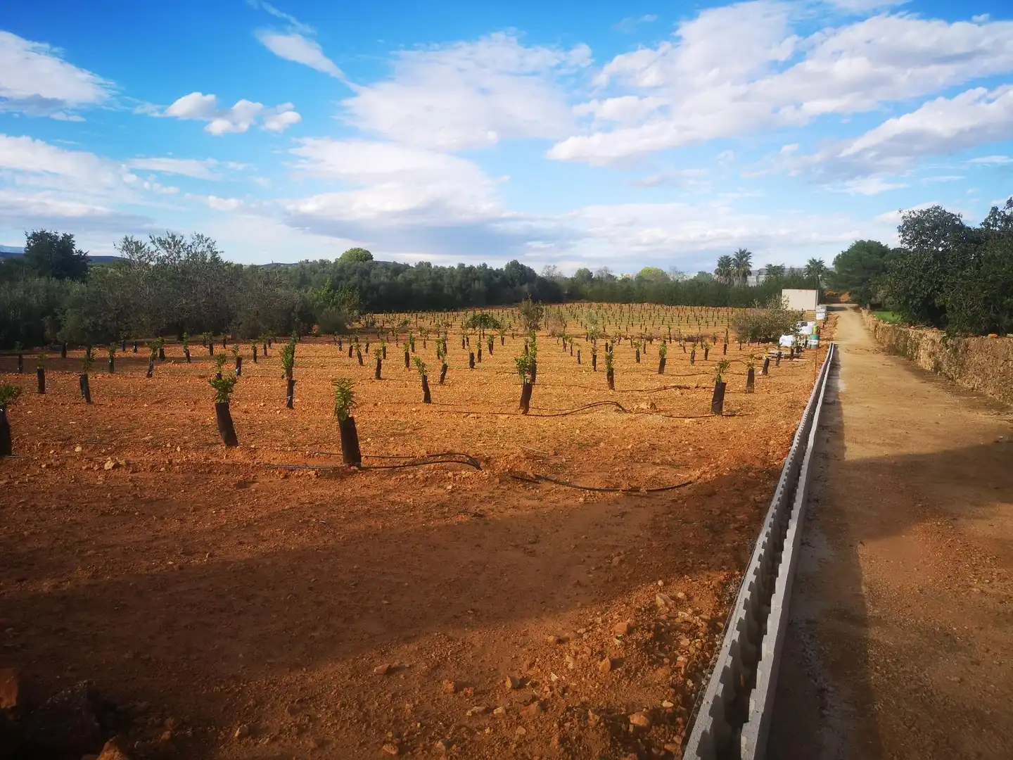 Terreno residenziale in vendita a Ulldecona, imagen 9