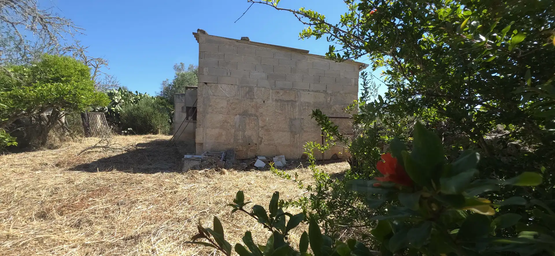 Rustikales Grundstück zum Verkauf in Santa Margalida Poble, imagen 9