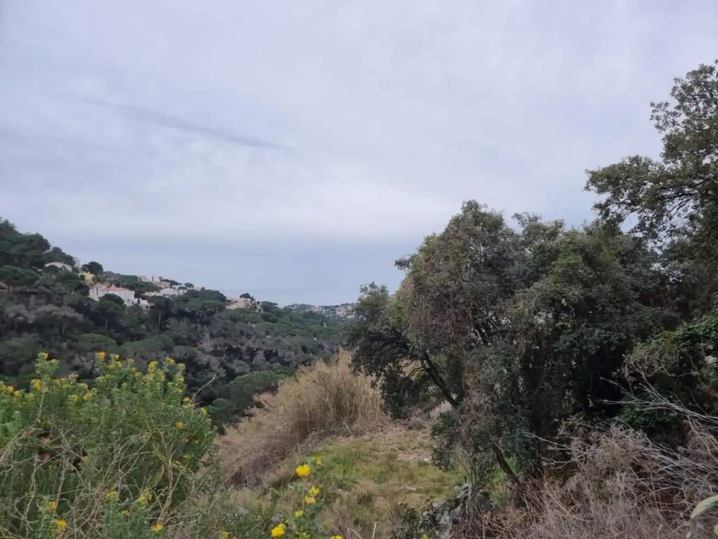 Terrenos y solares en venta en Serra Brava, imagen 25
