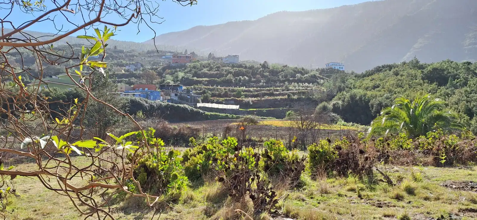 Finca rústica en venta en Los Realejos con Jardín privado y Terraza