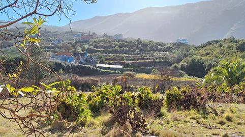 Photo 5 of Country house for sale in Carretera las Llanadas, Palo Blanco, Santa Cruz de Tenerife