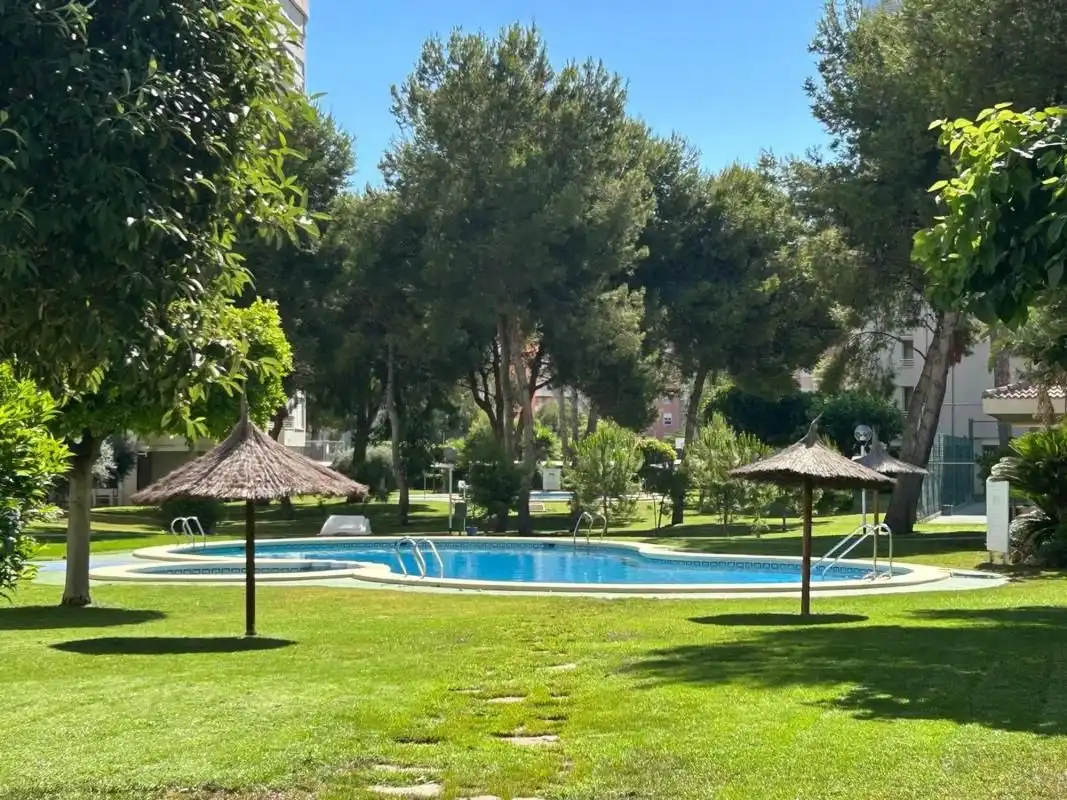 Apartamento con piscina en venta en Playa de San Juan - El Cabo de las Huertas, imagen 3