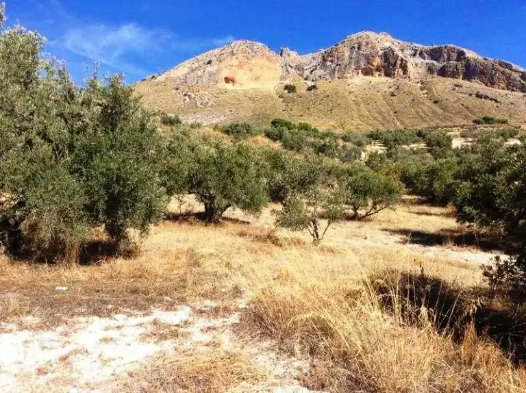 Terreno rustico in vendita a Bedmar y Garcíez, imagen 4
