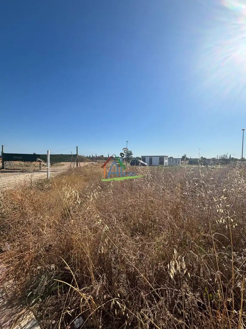 Lands and plots for sale in Almonte ciudad, imagen 2