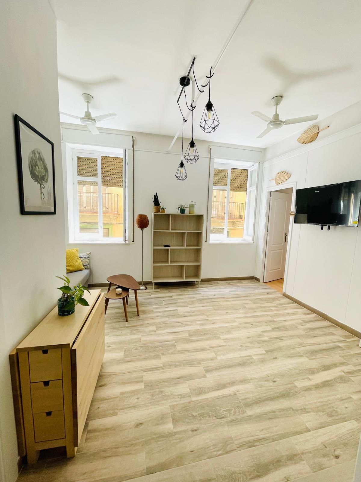 Living room of Apartment to rent in Málaga Capital  with Furnished