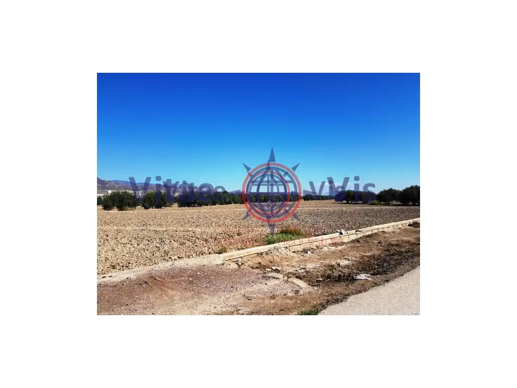 Terreny residencial en venda a Pedanías Centro, imagen 8