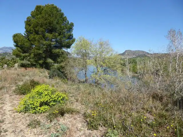 Finca rústica en venta en Xerta