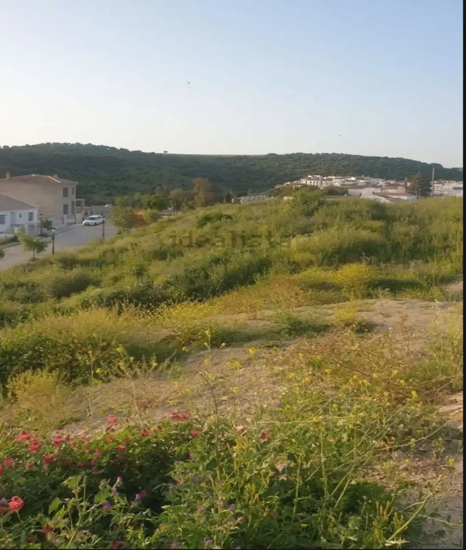 Terreno residenziale in vendita a Avenida del Pinsapar 42, imagen 3