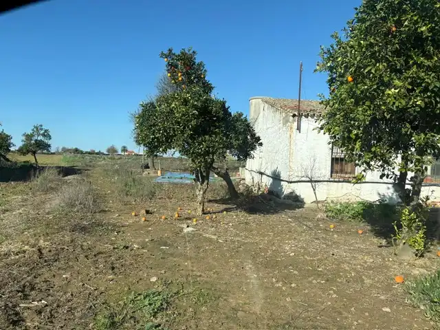Casa o chalet en venta en Montijo con Jardín privado
