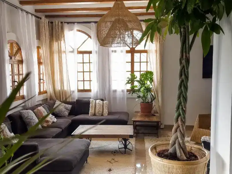 Sala d'estar de Finca rústica de lloguer en Manises amb Aire condicionat, Jardí privat i Traster
