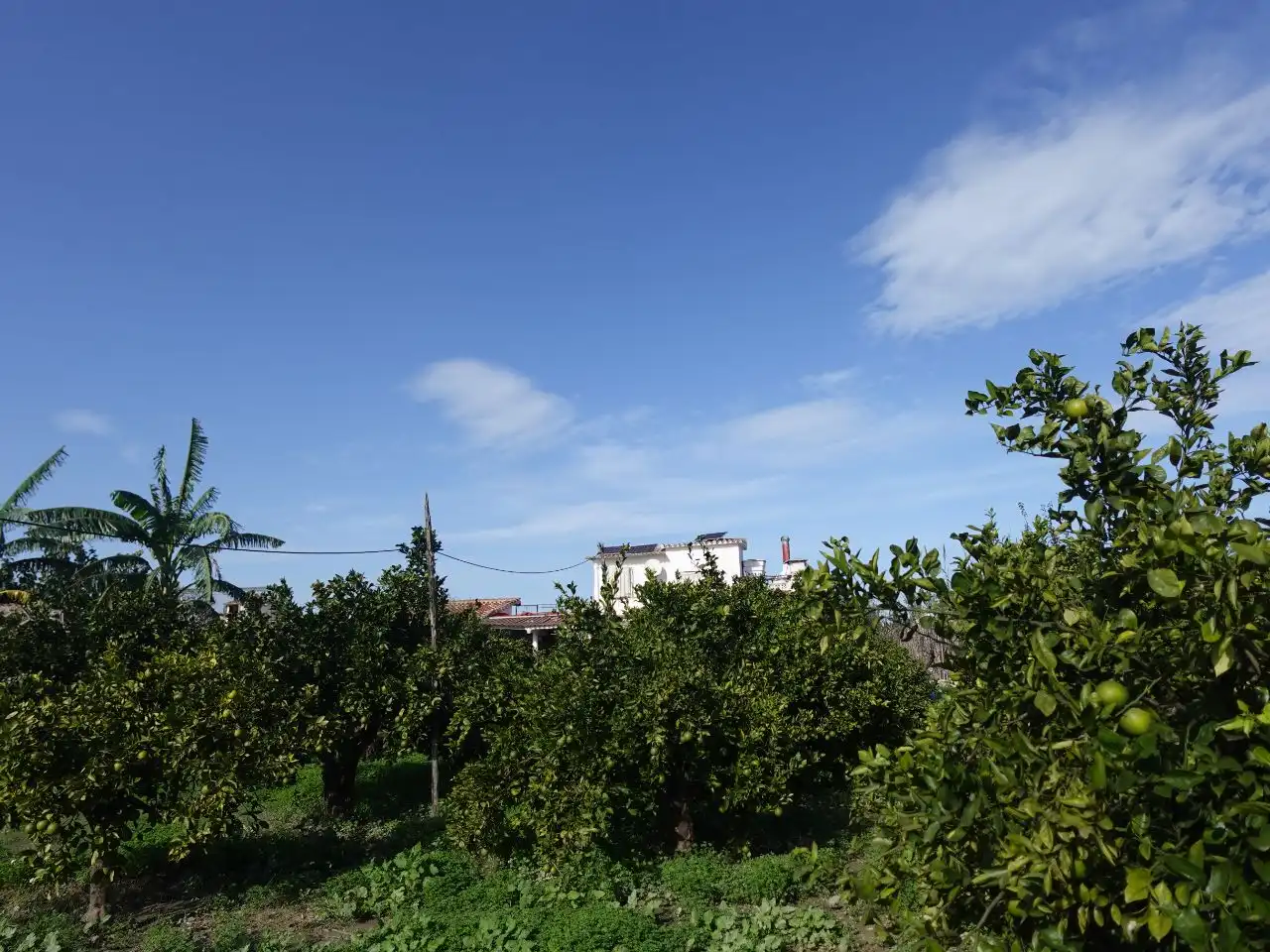 Casa con giardino in vendita a Cami Terra Nova 15, imagen 30