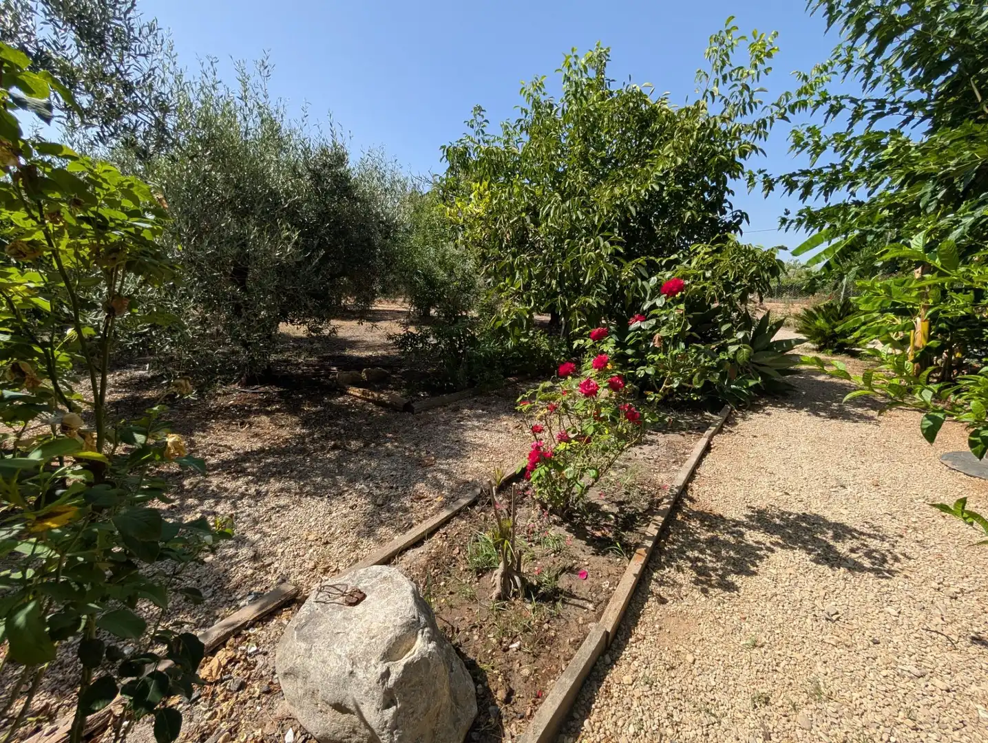 Jardín de Finca rústica en venta en Alcanar