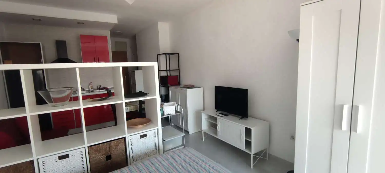 Living room of Study for rent in Torremolinos  with Furnished and Pets allowed