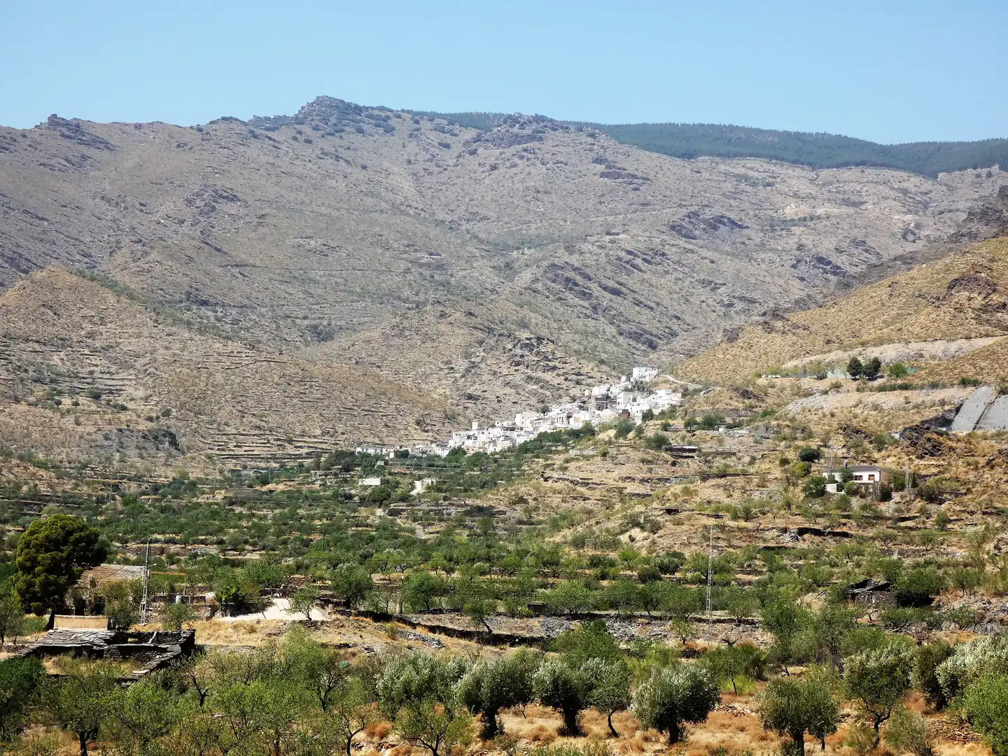 Houses for sale in Calle Almeria, 55, Senés