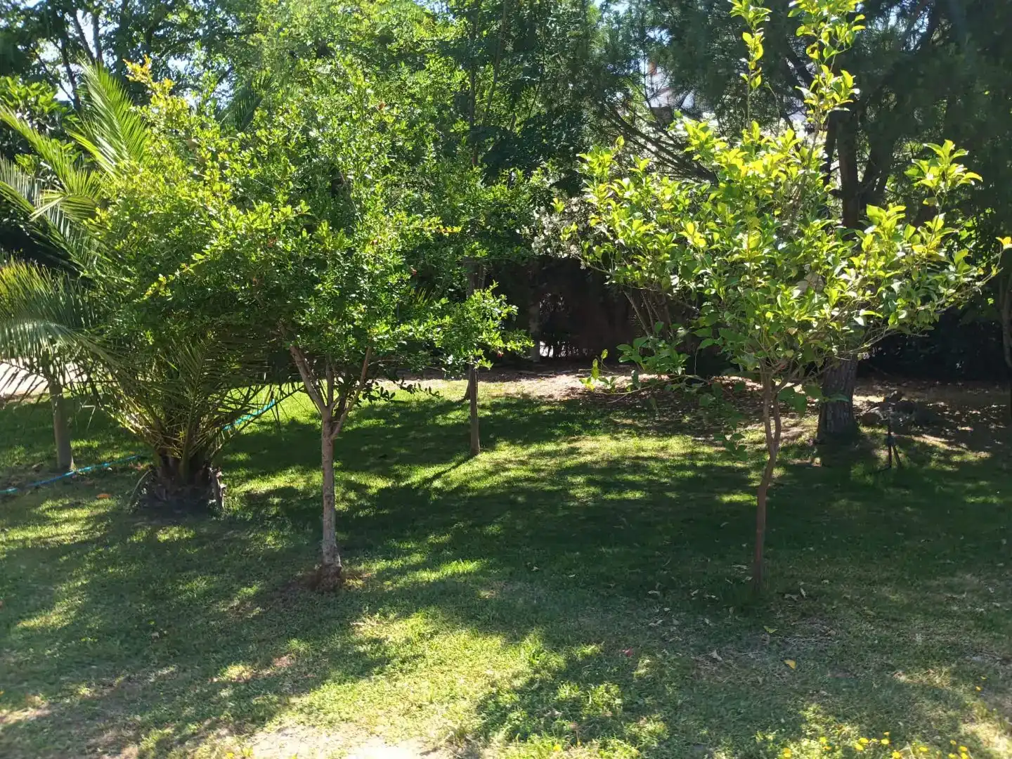Flat for sale in Sevilla  with Private garden