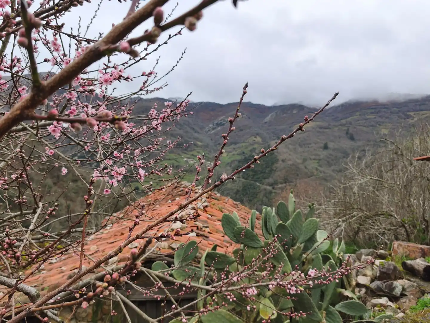 Jardín de Casa o chalet en venta en Proaza con Piscina